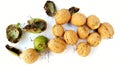 organic homegrown walnuts and husks on white background Royalty Free Stock Photo