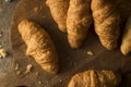 Organic Homemade Breakfast Croissants Royalty Free Stock Photo