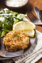 Organic Homemade Crab Cakes Royalty Free Stock Photo