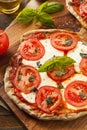 Organic Homemade Margarita Pizza Royalty Free Stock Photo