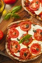 Organic Homemade Margarita Pizza Royalty Free Stock Photo