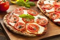 Organic Homemade Margarita Pizza Royalty Free Stock Photo