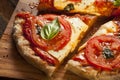 Organic Homemade Margarita Pizza Royalty Free Stock Photo