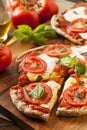 Organic Homemade Margarita Pizza Royalty Free Stock Photo