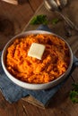 Organic Homemade Mashed Sweet Potatoes