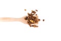 Organic homemade roasted granola cereal pile with oats, flax, almonds, chocolate with wooden spatula or spoon isolated