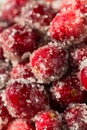 Organic Homemade Sugared Sweet Cranberries