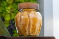 Organic honey in honeycombs inside in glass jar.