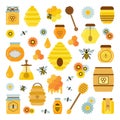 Organic Honey Products Icon Set Royalty Free Stock Photo