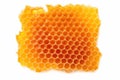 organic honeycomb slice isolated on white backdrop