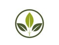 organic icon. eco, plant and nature symbol. vector image in flat design