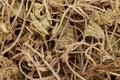 Organic Indian Pennywort or gotu kola (Centella asiatica).