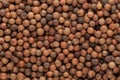 Organic Indian sandalwood (Santalum album) seeds. Royalty Free Stock Photo