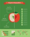 Organic infographics with apple and charts Royalty Free Stock Photo