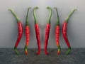 Organic Ingredient Fresh Hot and Spicy Red and Green Chilies