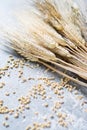 Organic ingredients for bread or pasta preparation - flour, wheat ears