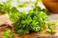 Organic Italian Flat Leaf Parsley Royalty Free Stock Photo
