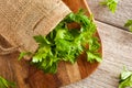 Organic Italian Flat Leaf Parsley