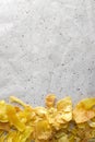 Organic jackfruit chips on paper background with copy space Royalty Free Stock Photo
