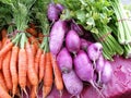 Organic Japanese daikon, celery and carrots