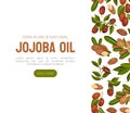 Organic Jojoba Oil Banner Design with Natural Plant Vector Template