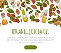 Organic Jojoba Oil Banner Design with Natural Plant Vector Template