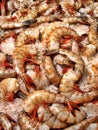 Organic Jumbo Tiger Shrimp on Ice