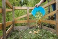 Organic kitchen waste being thrown on a compost