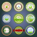 Organic labels, badges and stickers Royalty Free Stock Photo