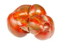 organic large tomato with green veins isolated