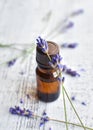 Organic lavender essential oil in dark glass bottle and fresh lavender flowers on wooden background Royalty Free Stock Photo