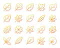 Organic Leaf simple color line icons vector set Royalty Free Stock Photo