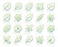 Organic Leaf simple color line icons vector set Royalty Free Stock Photo