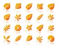 Organic Leaf simple gradient icons vector set Royalty Free Stock Photo