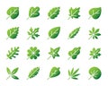 Organic Leaf simple gradient icons vector set Royalty Free Stock Photo