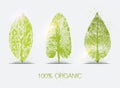 Organic leaves imprints icon set. Eco-signs. Royalty Free Stock Photo