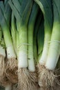 Organic leeks