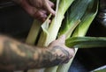 Organic leeks food photography recipe idea Royalty Free Stock Photo