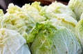 Organic Lettuce at the Farmers` Market Royalty Free Stock Photo