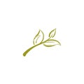 Organic line logo of a stem with three leaves