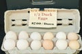 Organic, local duck and hen eggs for sale Royalty Free Stock Photo