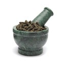 Organic Long pepper Dried Fruit (Piper longum) on marble pestle. Royalty Free Stock Photo