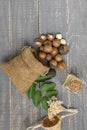 Organic Macadamia nut on wooden table - vintage filter Royalty Free Stock Photo