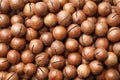 Organic Macadamia nuts as background