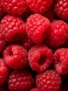 Ripe raspberry organic red eating macro food summer berries fruit