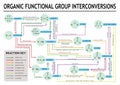 Organic chemistry, organic functional group interconversions map Royalty Free Stock Photo