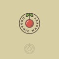 Organic market emblem. Organic food logo. Circle fruit and leaves with letters.