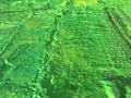 Organic matter summer background with green spring painting texture Royalty Free Stock Photo