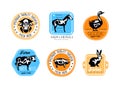 Organic meat labels set. Premium quality natural fresh meat stickers and badges vector illustration Royalty Free Stock Photo