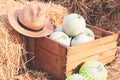 Organic melons in wooden box on straw. Farmer market. Healthy